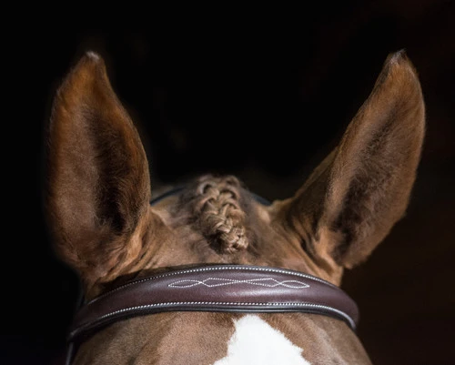 Pessoa PRO Fancy Stitched Tapered Bridle - Image 6