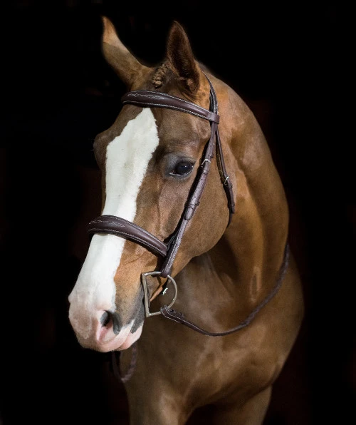 Pessoa PRO Fancy Stitched Tapered Bridle - Image 4