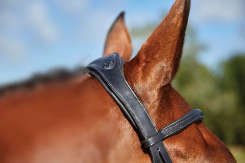 Collegiate ComfiTec Training Bridle - Image 6