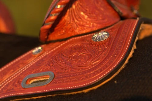 Circle Y Fischer Daisy Treeless Barrel Saddle - Image 4