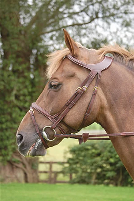 Dy'on Difference Flash Bridle - Image 2