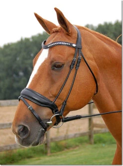 Dy'on Large Crank Noseband Snaffle Bridle