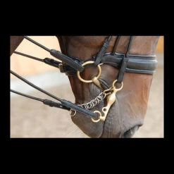 Dy'on Large Crank Double Bridle