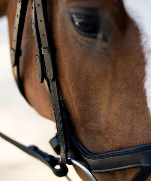 Black Oak Palm Ergonomic Bridle - Image 4