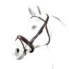 Equipe Roll Snaffle Dressage Bridle