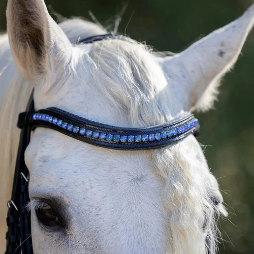 Halter Ego Copenhagen Navy Patent Snaffle Bridle - Image 4