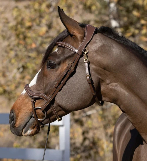 Halter Ego Deauville Anatomical Jumper Bridle - Image 6