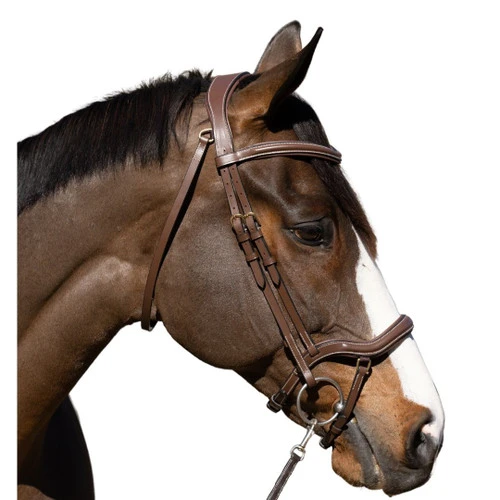 Halter Ego Deauville Anatomical Jumper Bridle - Image 2