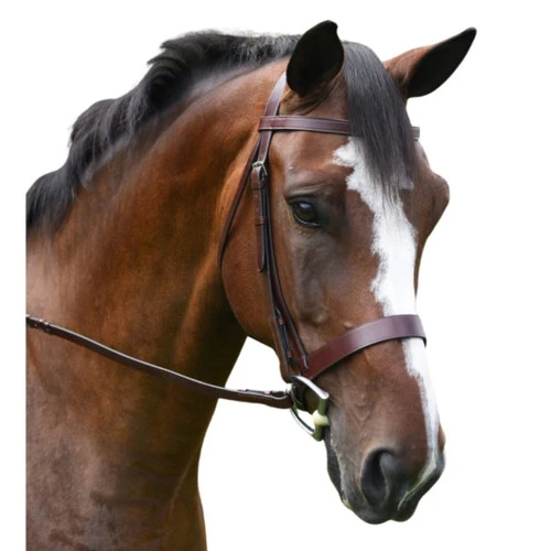 KL Italia Foxwell Hunt Bridle