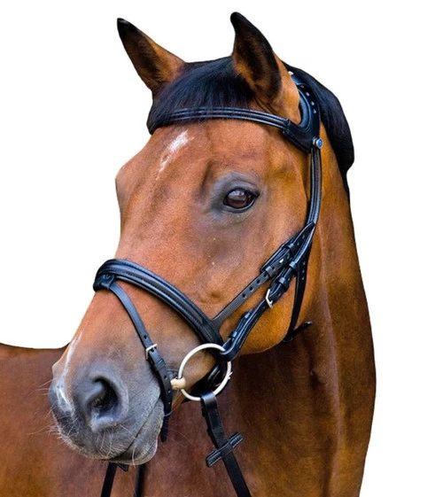 Stubben Freedom Bridle - Image 2