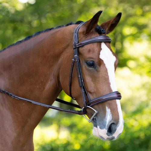 KL Select Hampton Hunter Bridle - Image 2