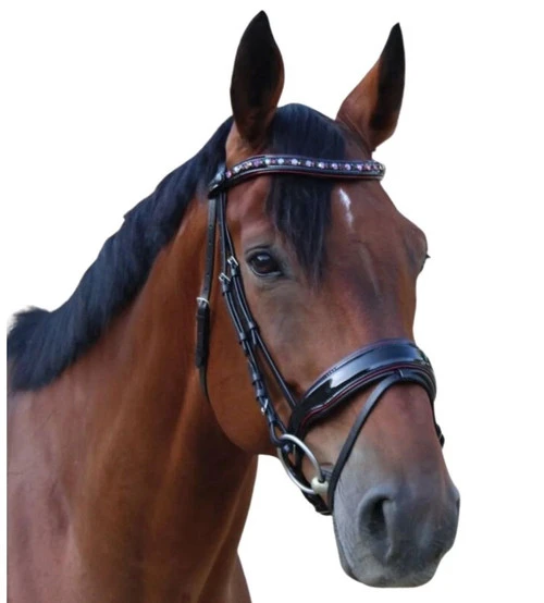 Halter Ego Hayworth Snaffle Bridle - Image 2
