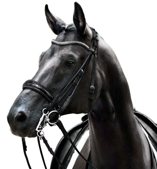 Passier Icarus Rolled Double Bridle - Image 2