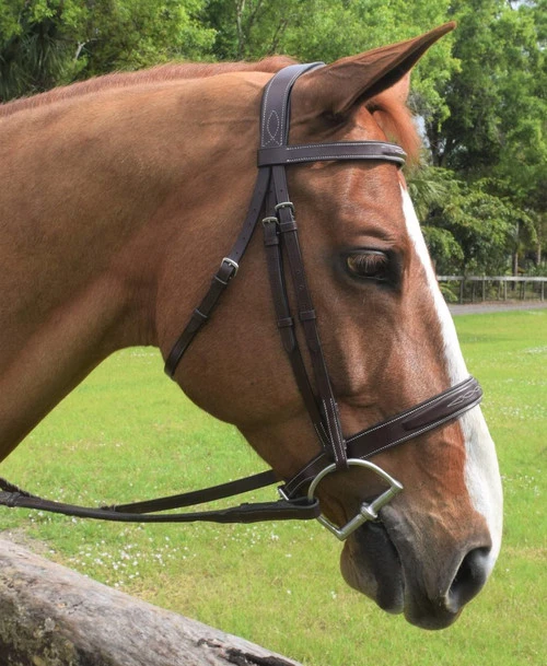 Red Barn Indio Hunter Bridle - Image 3