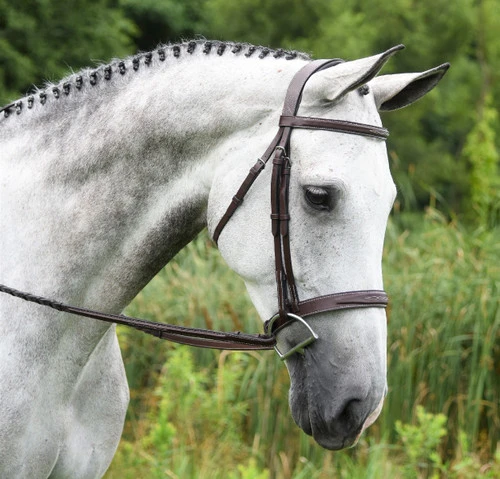 Red Barn Indio Hunter Bridle