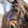 LeMieux Kudos Competition Bridle