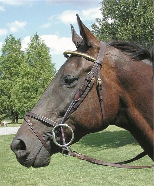 Nunn Finer Leather Gag Cheeks