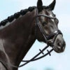 PASSIERBLU Spirit Snaffle Bridle