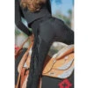 Hobby Horse Split Leather Classic Show Chaps