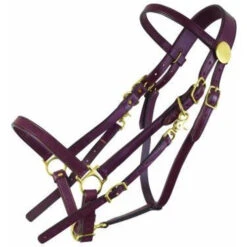 Tucker Standard Halter Bridle