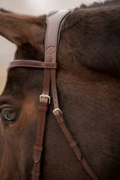 KL Select Tucson Bridle