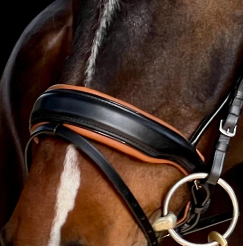 Halter Ego Tuscany Rolled Snaffle Bridle - Image 3