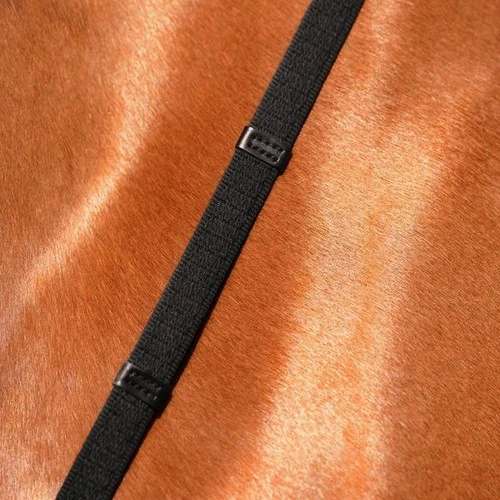 Passier Web Reins With Stops